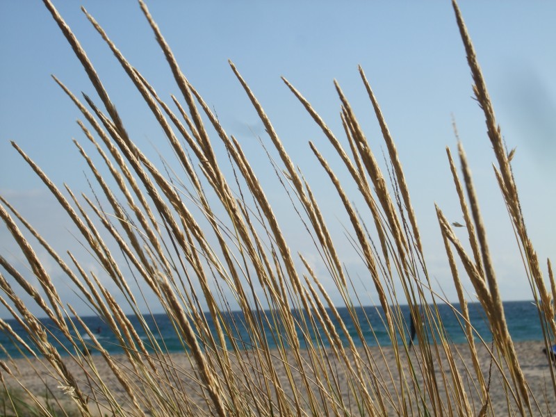 Anadalusien 2009 - 0439 